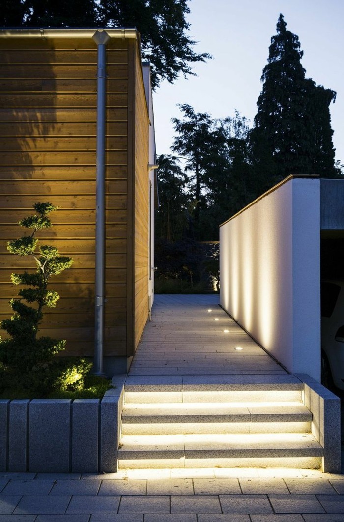 照明理念花园的想法照明植物花园楼梯领导渲染