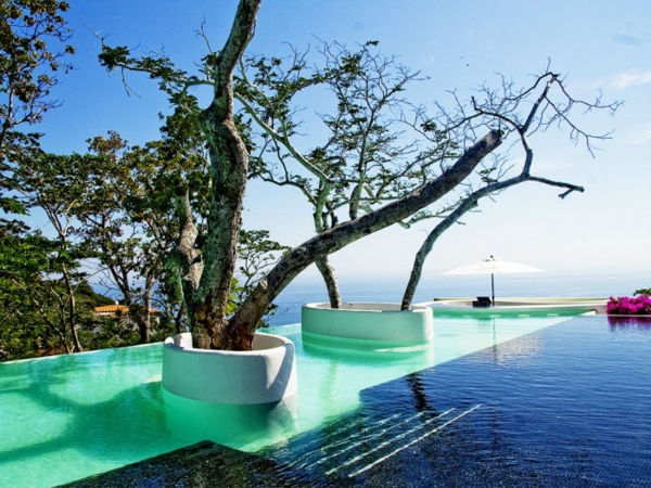 piscine naturelle merveille dans le jardin tropical