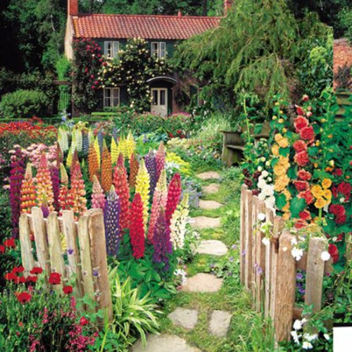 fleurs plantes espèces hardy images colorées jardin design idée