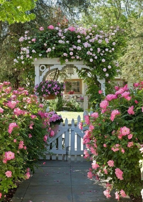 fleurs rose mignon jardin jardinage idée pierres caillou fleurs plante