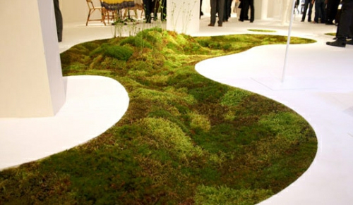 biodegradable moss alive carpet design