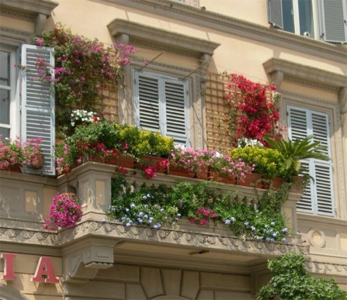 flori confortabila idee balcon balcon proaspat