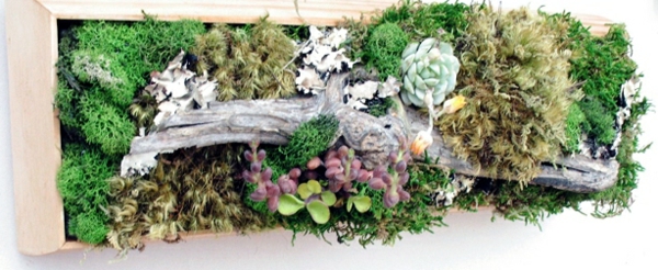 decoración de flores hacer ideas de decoración de paredes plantas en macetas