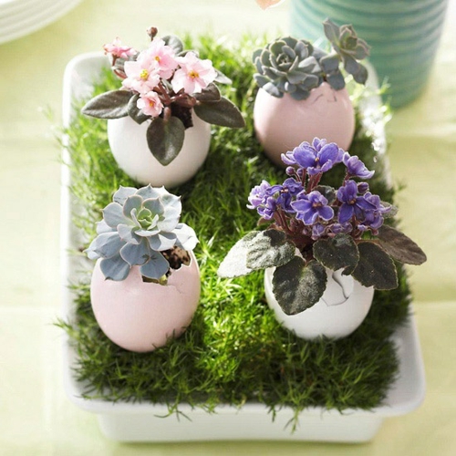 bloem decoratie aan Pasen boeken eierschalen plantenbakken