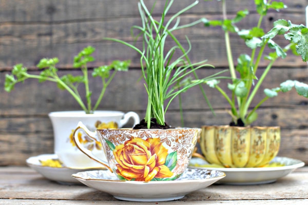 pots de fleurs magnifiques tasses à thé peintes