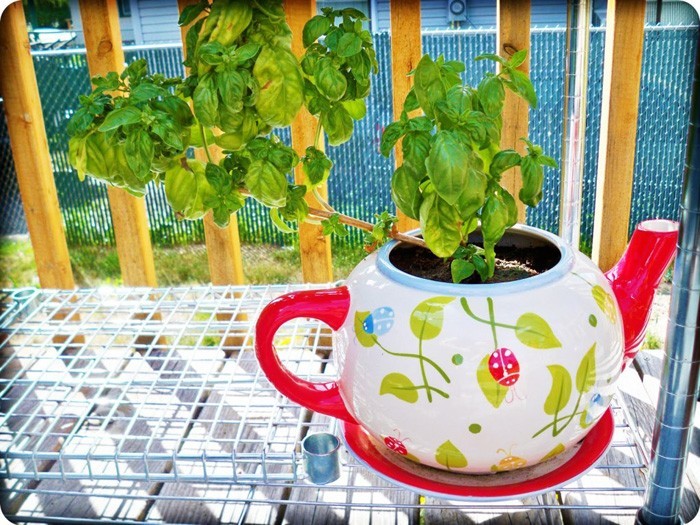 flower pot painting crafting with children diy ideas gardening tea kettle