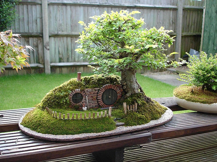 bonsai trær hobbit hull