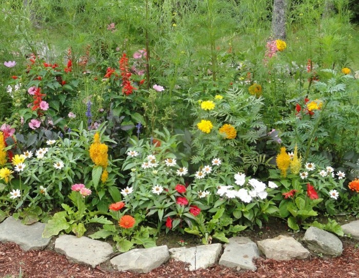πολύχρωμα λουλούδια κήπου mulch φτηνές ιδέες κηπουρικής