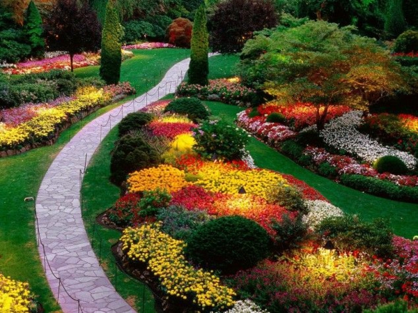 πολύχρωμα φυτά διακόσμηση κήπων