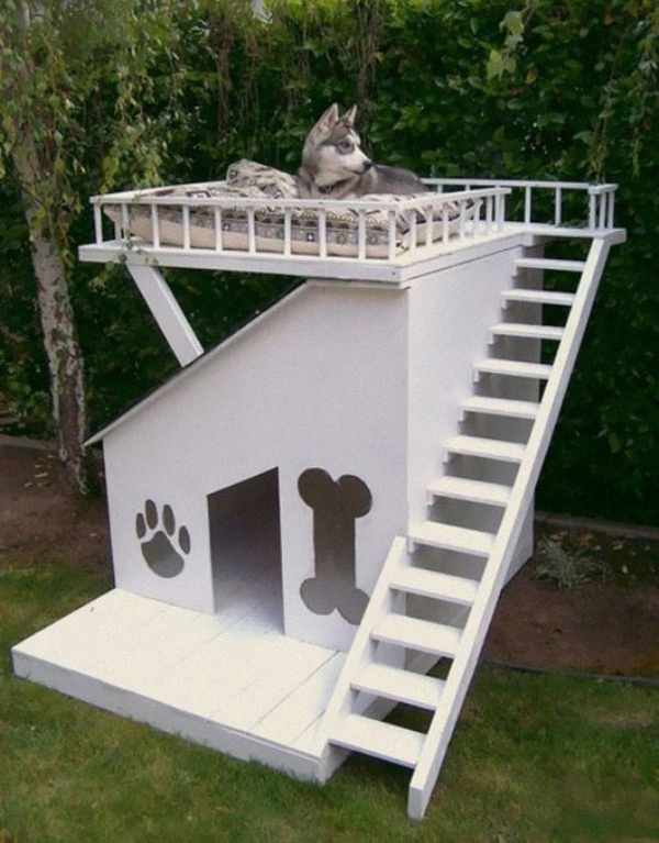 Cool ιδέες δώρων για τα σκυλιά σκάλες ξύλο