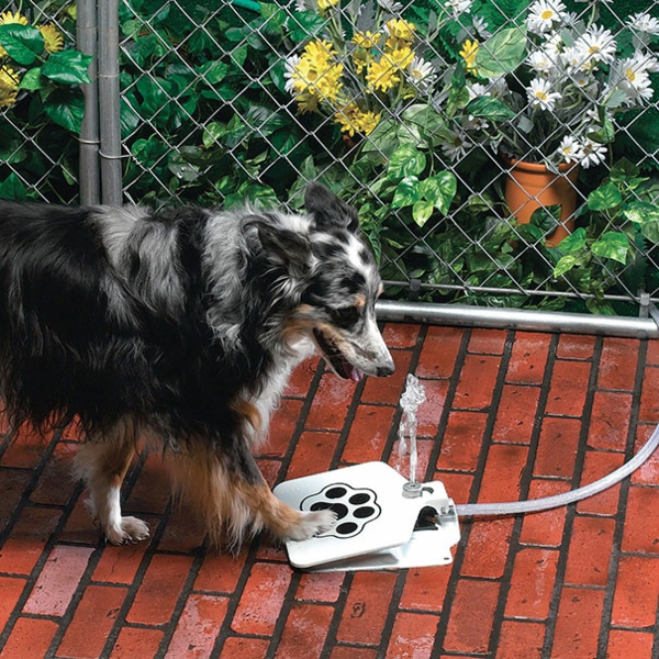 Cool ιδέες δώρων για σκύλους πόσιμο νερό