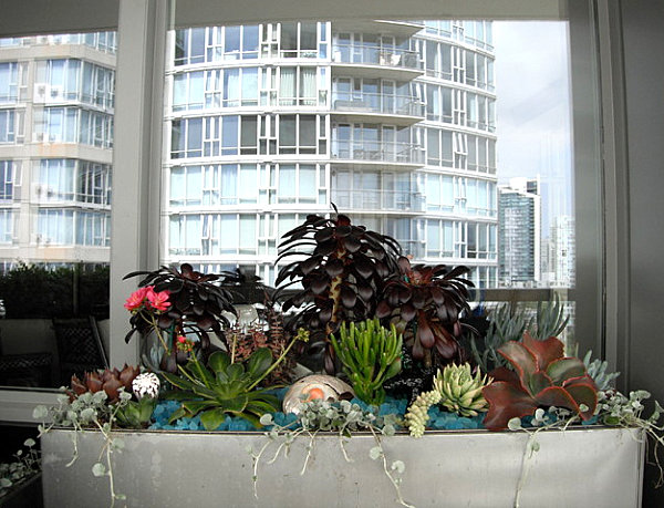 δροσερό ιδέες διακοσμήσεων μπαλκόνι λουλούδια φυτό περιέκτη