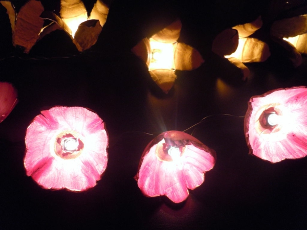 flori cool crafting lumina caseta de ou