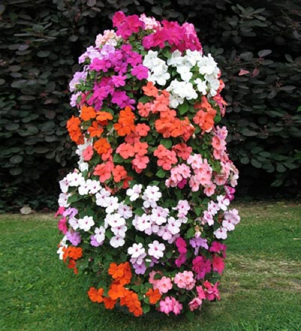 хладни цветни кули за вертикалния дизайн на градината