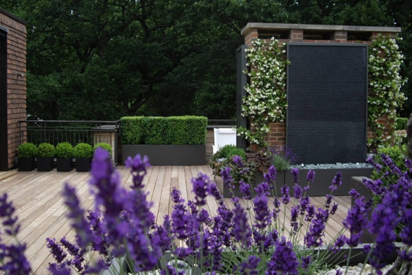 Cool roof terrace designs purple flowers