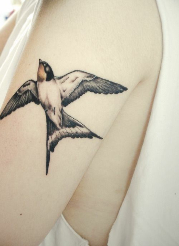 τατουάζ εικόνες πάνω τατουάζ μοτίβο τατουάζ μοτίβο πουλιών