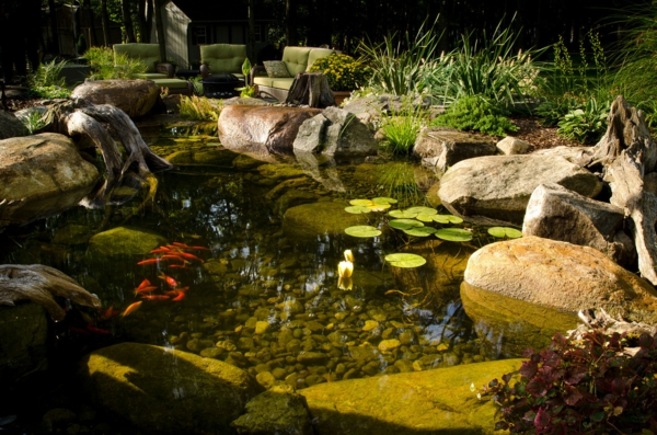 idées de jardin d'eau fraîche pierre étang poisson