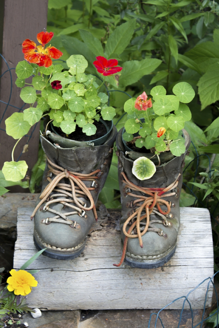 idées déco maison plante de jardin vieilles chaussures plante conteneur