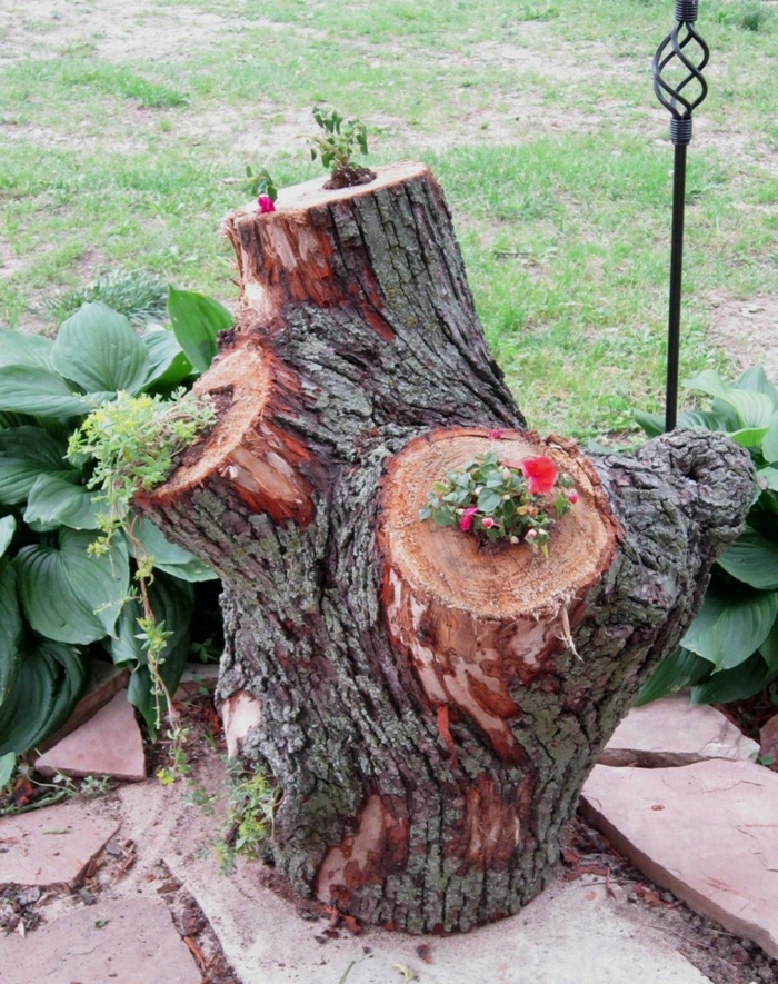 idées de décoration de faire des conteneurs de plantes réutiliser des souches d'arbres