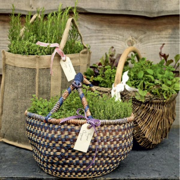 Декоративни кошници от зелени растения