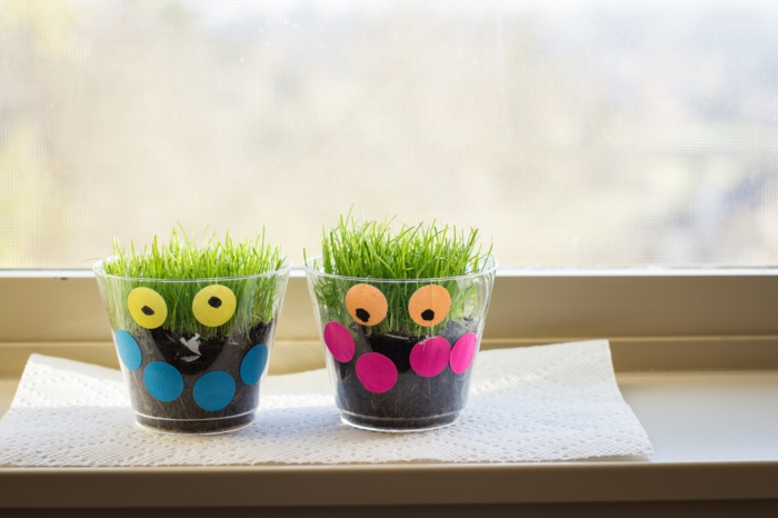 Dekkoideen παράθυρα αστεία δημιουργική χειροτεχνία φυτά