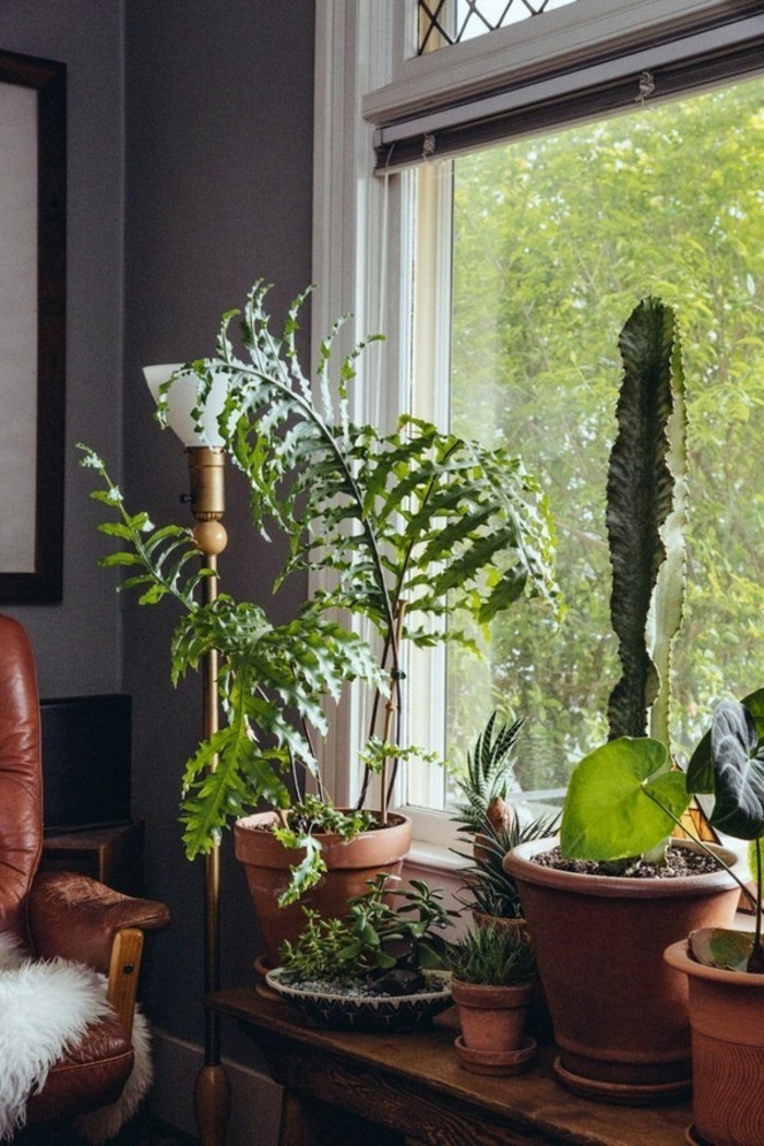 διακόσμηση παραθύρου περβάζι φυτών ρουστίκ δερμάτινη πολυθρόνα