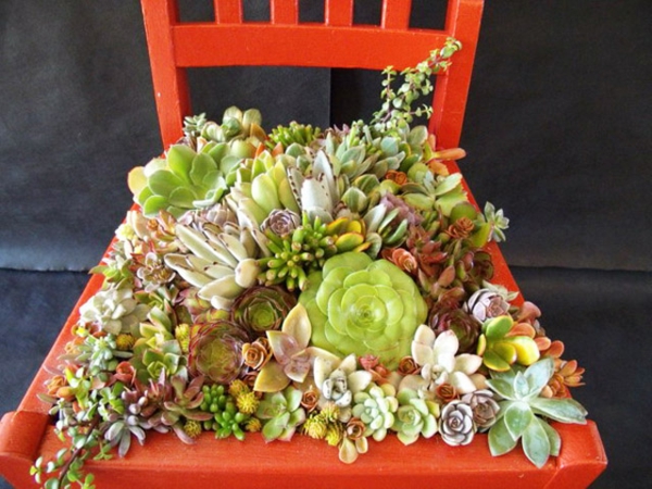 διακοσμητικές ιδέες κήπου oranger ξύλινη καρέκλα καρέκλα είδος
