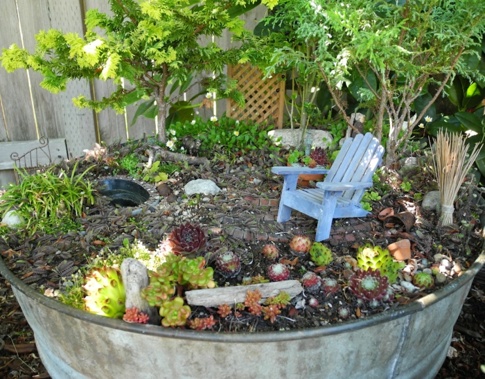 idées déco beau mini jardin cactus chaise petit arbre