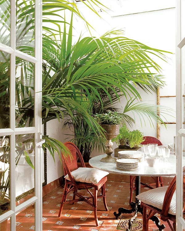 set up the balcony table tableware chairs plaited tropical plants