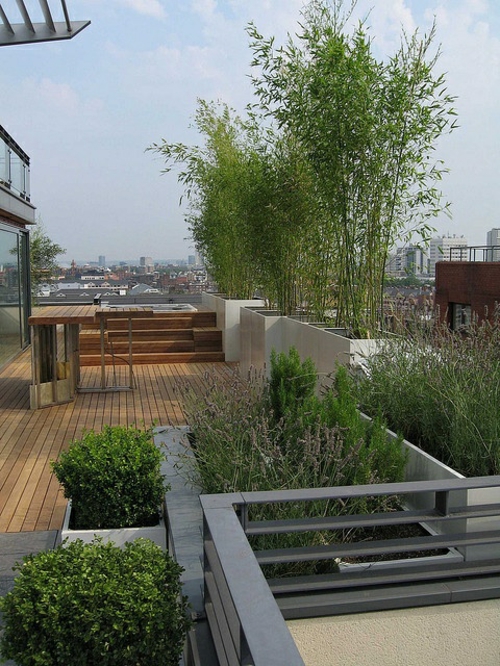 Roof terrace arrangement cool wooden table holzdeck pflanzen