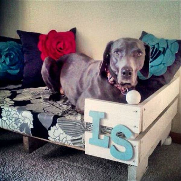 DIY puinen tyyny koiran vuodepaikkaa eurooppaasta