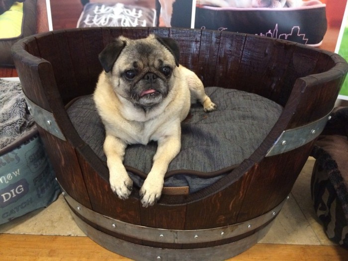 cama para perros hecha de barril de vino