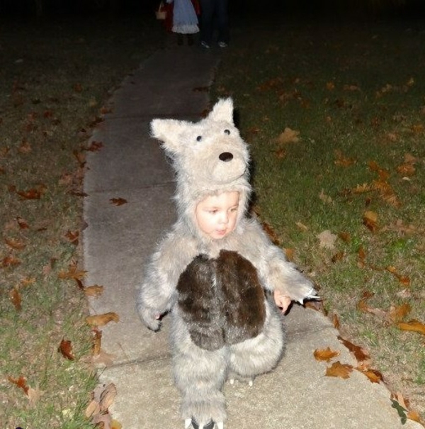 DIY vaatteet karnevaali puvut vauvan susi jäähtyä