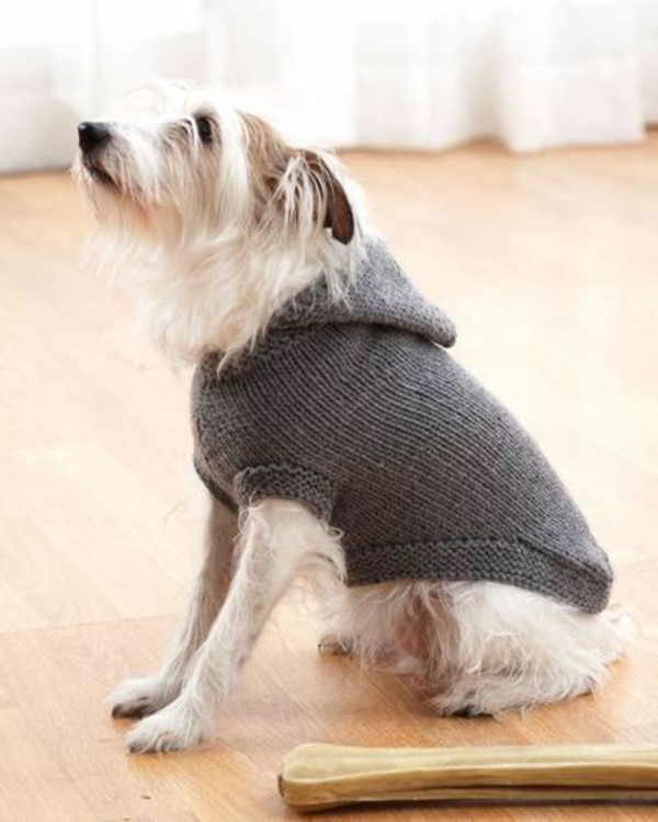 DIY projects dog sweater self-knit gray monochrome