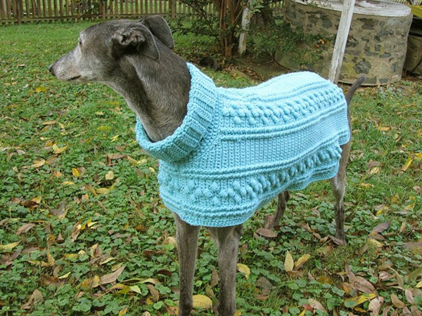 DIY Projekty Pes Sweater Knit Light Blue