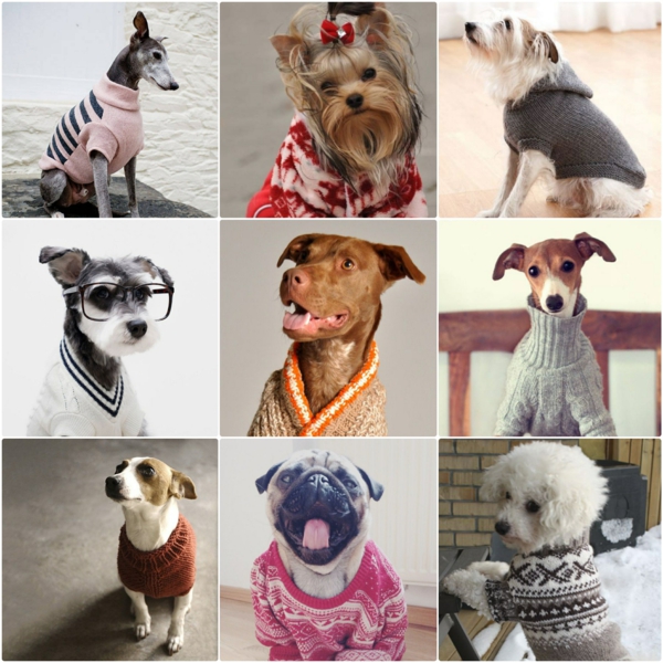 DIY projektai šunų megztinis savarankiškai megzti idėjos
