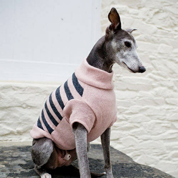 DIY projects dog sweater knitting with sleeves