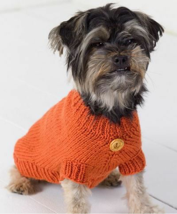 DIY проекти Куче пуловер Плетене на оранжево