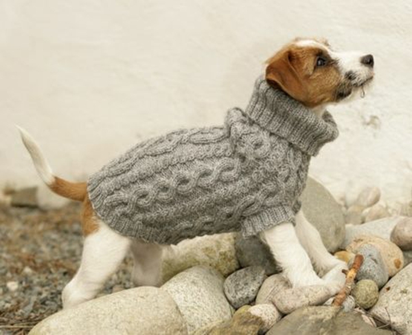 פרוייקטים DIY סוודר כלב לסרוג לשמור חם