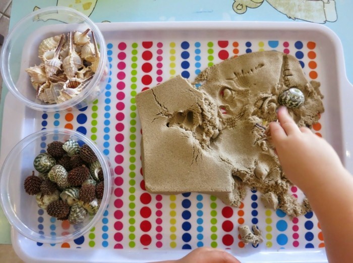 real shell and snails with kinetic sand