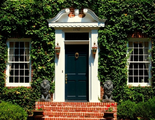 ivy fairytale house design exterior entrance door idea