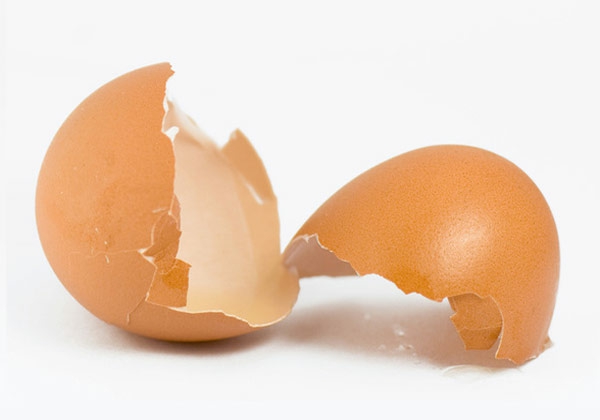 vaječný hellcolors nálepky barva vajec vejce wallpallet paleta