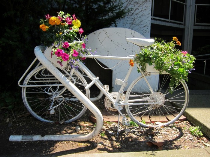 花园里有一辆白色的自行车