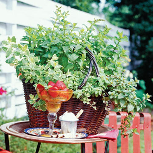 een mini-tuin vorm rieten mand aardbeien