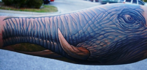 elephant face tattoo forearm