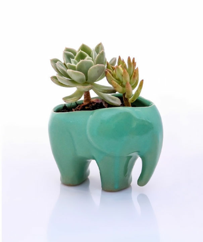 elefante figuritas-maceta plantas-deco-elefante-cubo