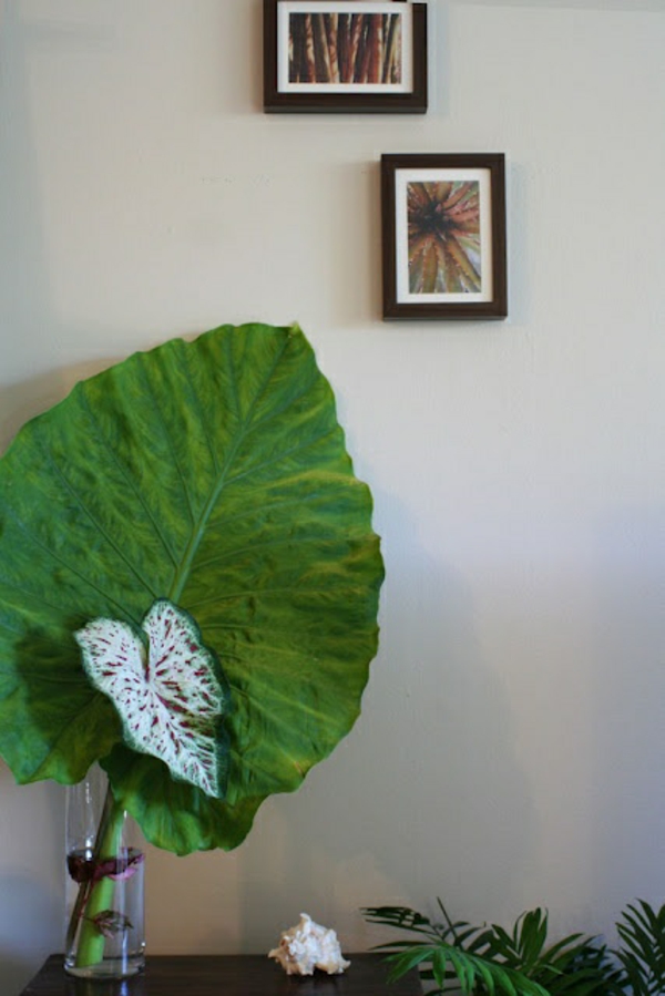 hoja de elefante planta de la planta decoración de la sala de estar decoración del hogar