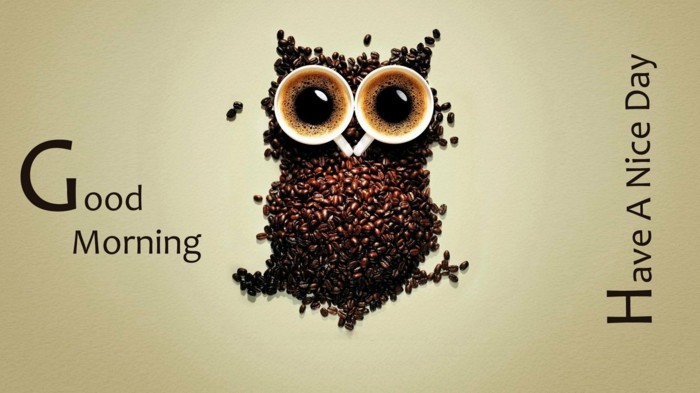uil van koffiebonen koffiekoppen goedemorgen ochtendgroet