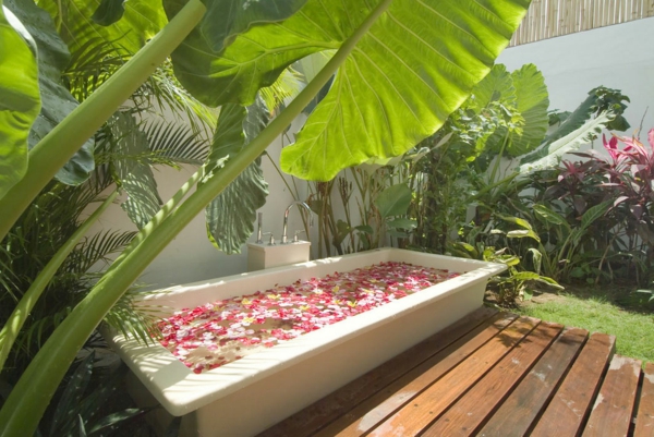 palmiers exotiques baignoire roses romantique