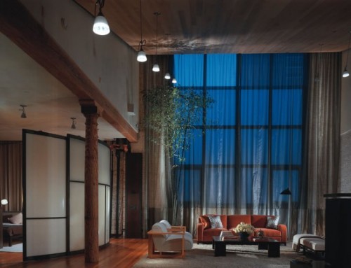 fantastique plafond fenêtre salon canapé-lit